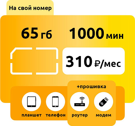 Тариф Билайн Трансформер 310 S